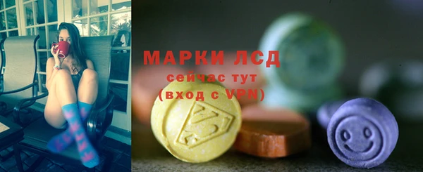 амф Снежногорск