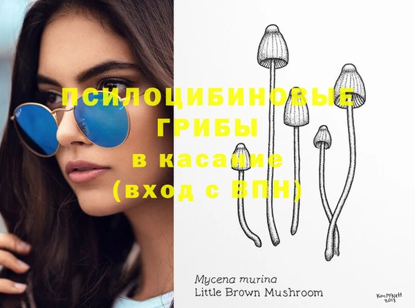 МДМА Арсеньев